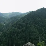 Haus Am Wald * 뮌스테르탈