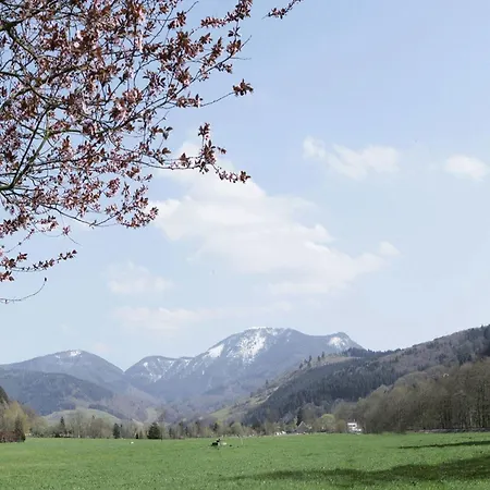 Haus Am Wald Appartement