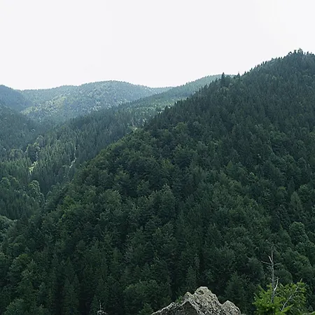 Haus Am Wald * Münstertal