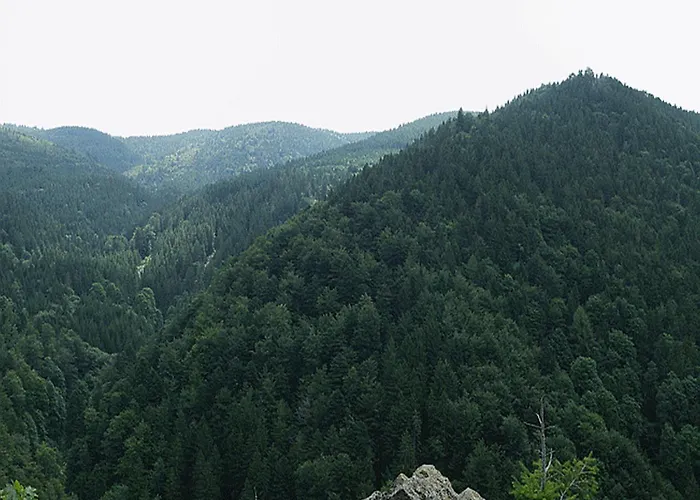Haus Am Wald Appartement Münstertal